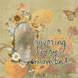 Sunflower Fields Frame Clusters