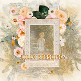 Sunflower Fields Frame Clusters