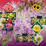 Artistic License Photo Overload Part 2 - 12x12