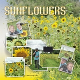 Artistic License Photo Overload Part 2 - 12x12