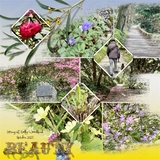 Artistic License Whimsies Part 1 - 12x12