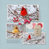 Color Story Page Builder Kit 2