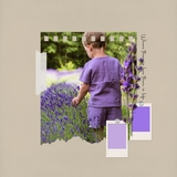 Color Story Page Builder Kit 1