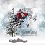 Colors of Trees Bundle 2