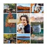 Colors of Trees Bundle 2