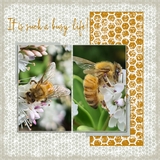 Pattern Toolbox - Grungy Mega Bundle