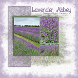 Pattern Toolbox - Grungy Mega Bundle