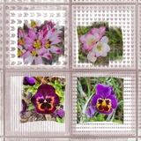 Pattern Toolbox - Grungy Mega Bundle