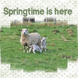 Pattern Toolbox - Grungy Mega Bundle