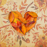 Fall-ing in Love Element Pak
