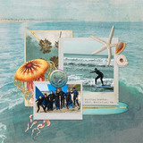 West Coast Element Pak