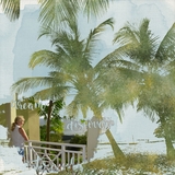 Color Blends Bundle 1