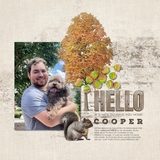 Autumn Flora & Fauna Word Art