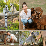 Classic Collage Full Bleed 4 Photos