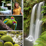 Classic Collage Full Bleed 5 Photos