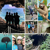 Classic Collage Full Bleed 8 Photos