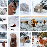 Classic Collage Full Bleed 14 Photos