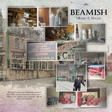 Artistic License Photo Overload 3 - 12x12