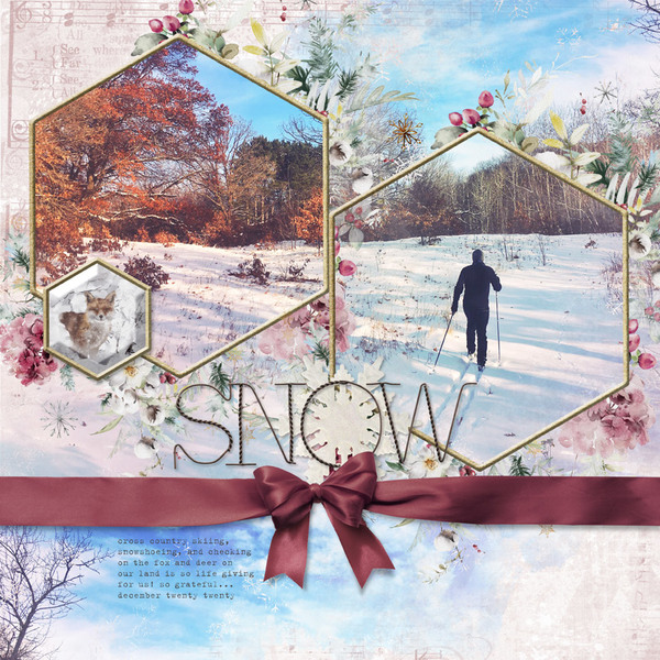 Winter Beauty Frame Clusters | Digital Art