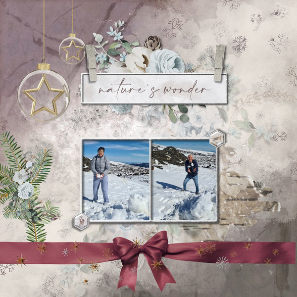 Winter Beauty Frame Clusters | Digital Art