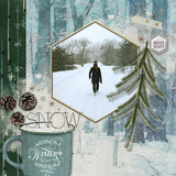 Winter Beauty Paper Pak