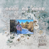 Winter Beauty Paper Pak