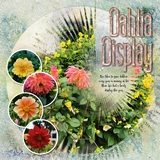 Art Master Lace Border Builder Workshop