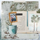 Winter Solitude Collection