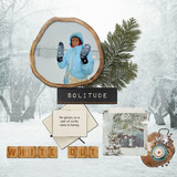 Winter Solitude Collection