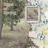 Signs of Spring Bundle March Limited Edition