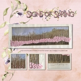 Signs of Spring Bundle March Limited Edition
