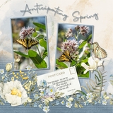 Signs of Spring Bundle March Limited Edition