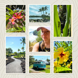 Simply Storyboards 7 - 12x12 Pre-designed Book