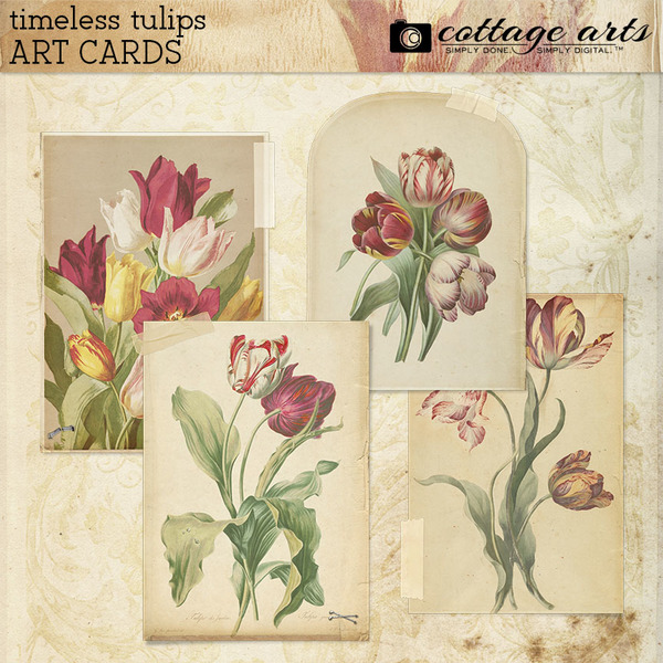 Timeless Tulips Art Cards Digital Art - Digital Scrapbooking Kits