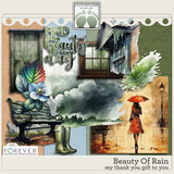 Beauty Of Rain My Gift To You