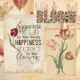 Timeless Tulips AlphaSet