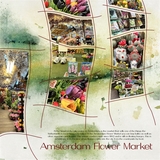 Artistic License Whimsical Wanderings