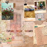 This is Life Mega-Bundle