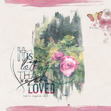 This is Life Mega-Bundle