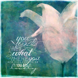 This is Life Mega-Bundle