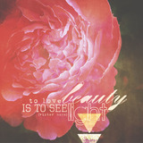 This is Life Mega-Bundle