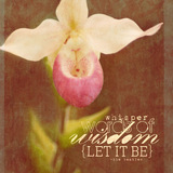 This is Life Mega-Bundle