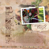 This is Life Mega-Bundle