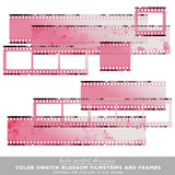 Color Swatch Blossom Filmstrips and Frames