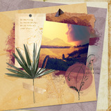 Boho Botanicals Mega-Bundle