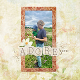 Boho Botanicals Mega-Bundle