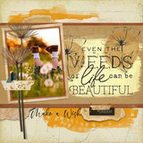 Boho Botanicals Mega-Bundle