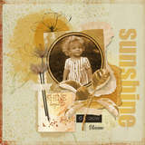 Boho Botanicals Mega-Bundle