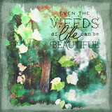 Boho Botanicals Mega-Bundle