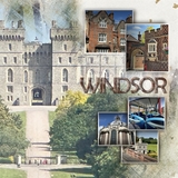 Artistic License Frazzled